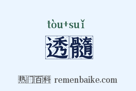 透髓是什么意思的图片